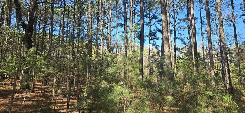 2.02 acres in Henderson County - photo 7