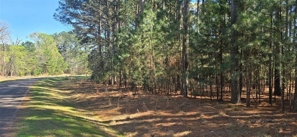 2.02 acres in Henderson County - photo 5