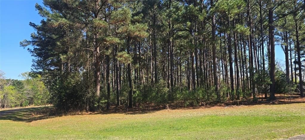 2.02 acres in Henderson County - photo 8