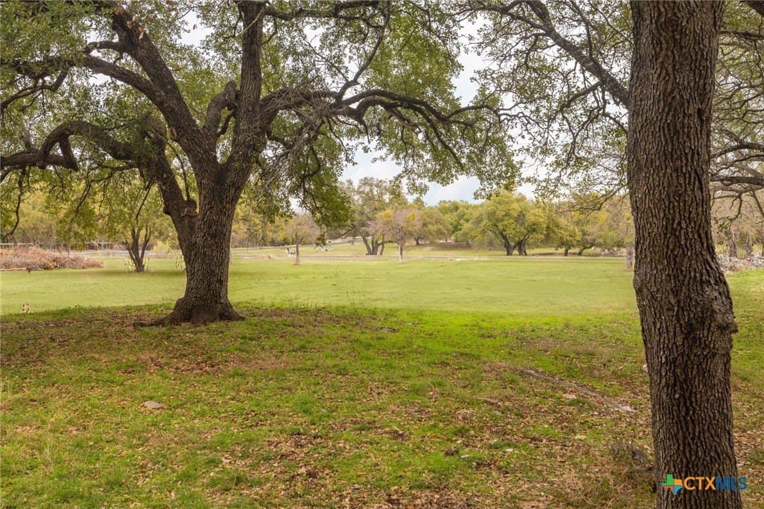 1 acres in Williamson County - photo 14