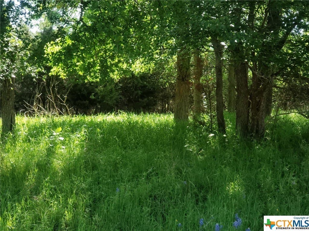 0.52 acres in Bell County - photo 2