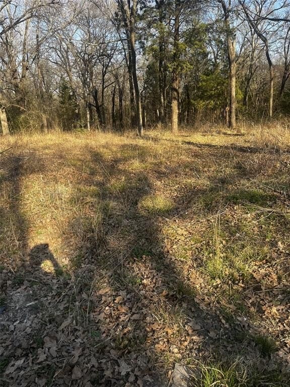 0.15 acres in Henderson County - photo 3