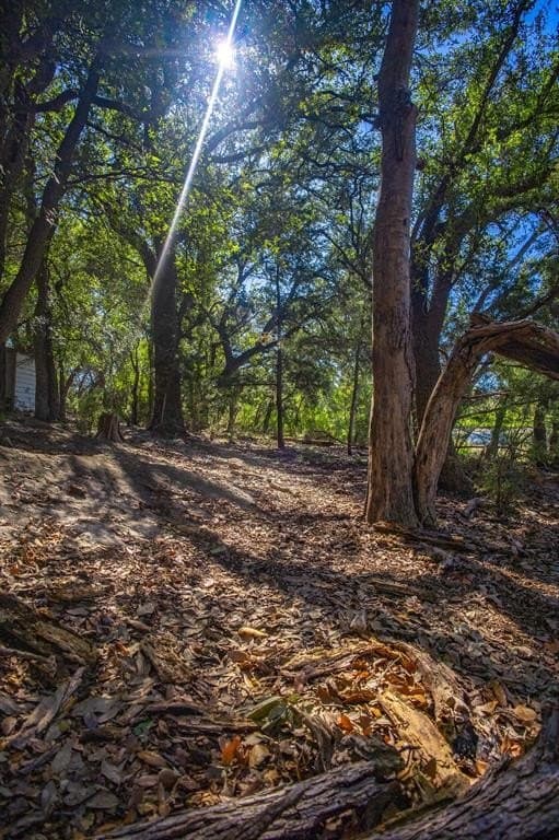 1.05 acres in Palo Pinto County - photo 17