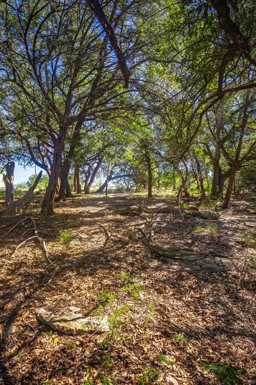 1.05 acres in Palo Pinto County - photo 16