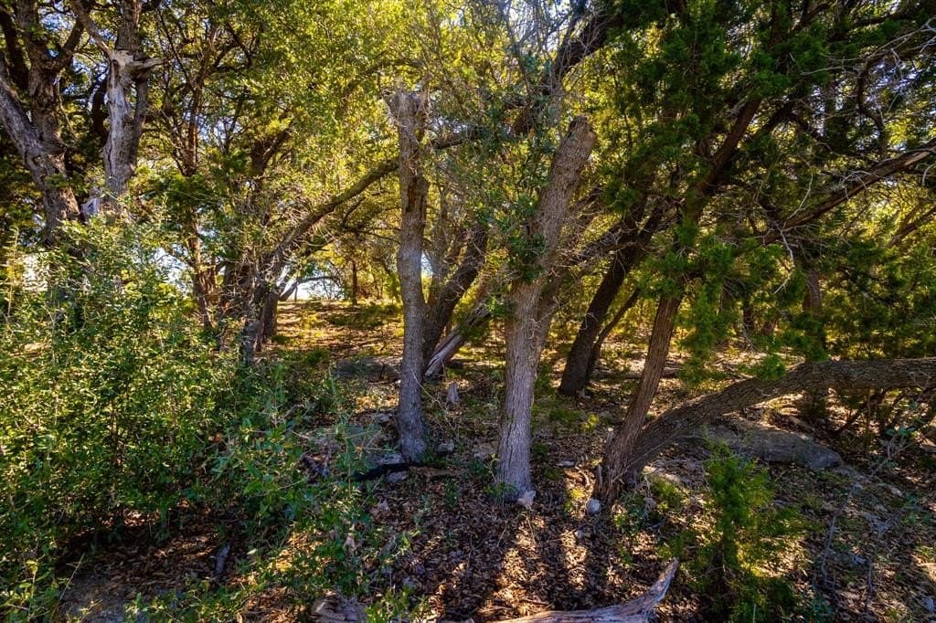 1.05 acres in Palo Pinto County - photo 10