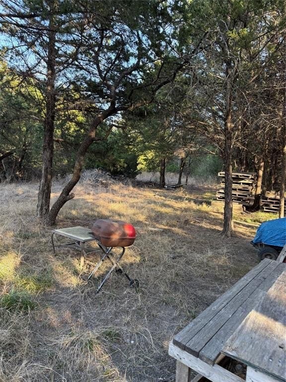 10.02 acres in Navarro County - photo 4