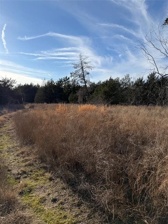 10.02 acres in Navarro County - photo 9