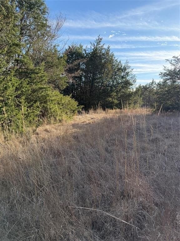 10.02 acres in Navarro County - photo 11