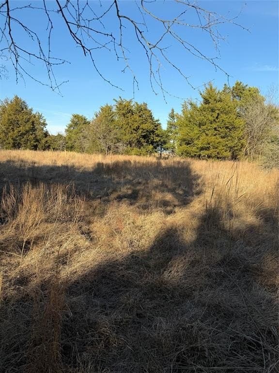 10.02 acres in Navarro County - photo 2