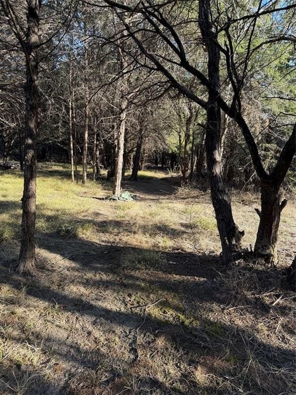 10.02 acres in Navarro County - photo 5