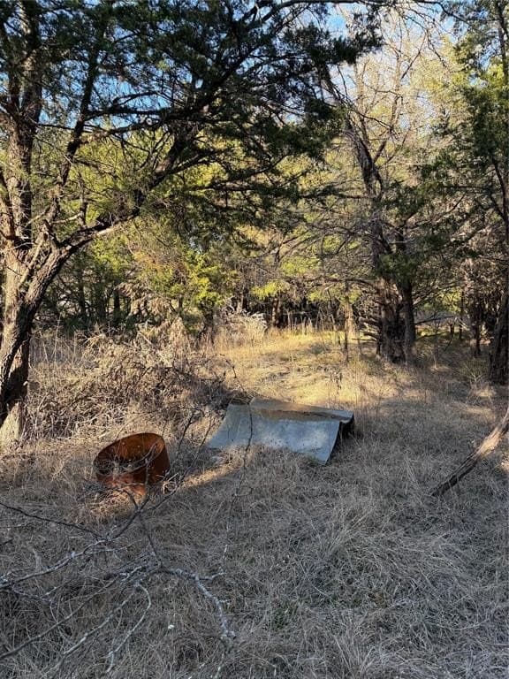 10.02 acres in Navarro County - photo 7