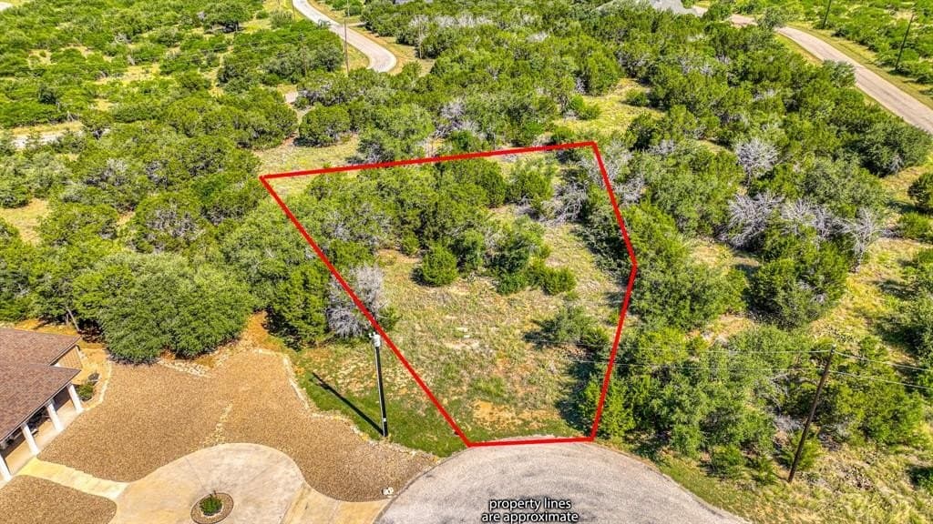 0.31 acres in Palo Pinto County - photo 2