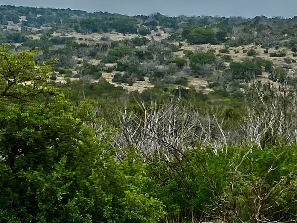 356.67 acres in Val Verde County - photo 6