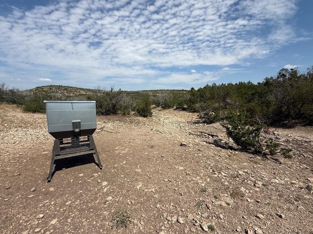 356.67 acres in Val Verde County - photo 26