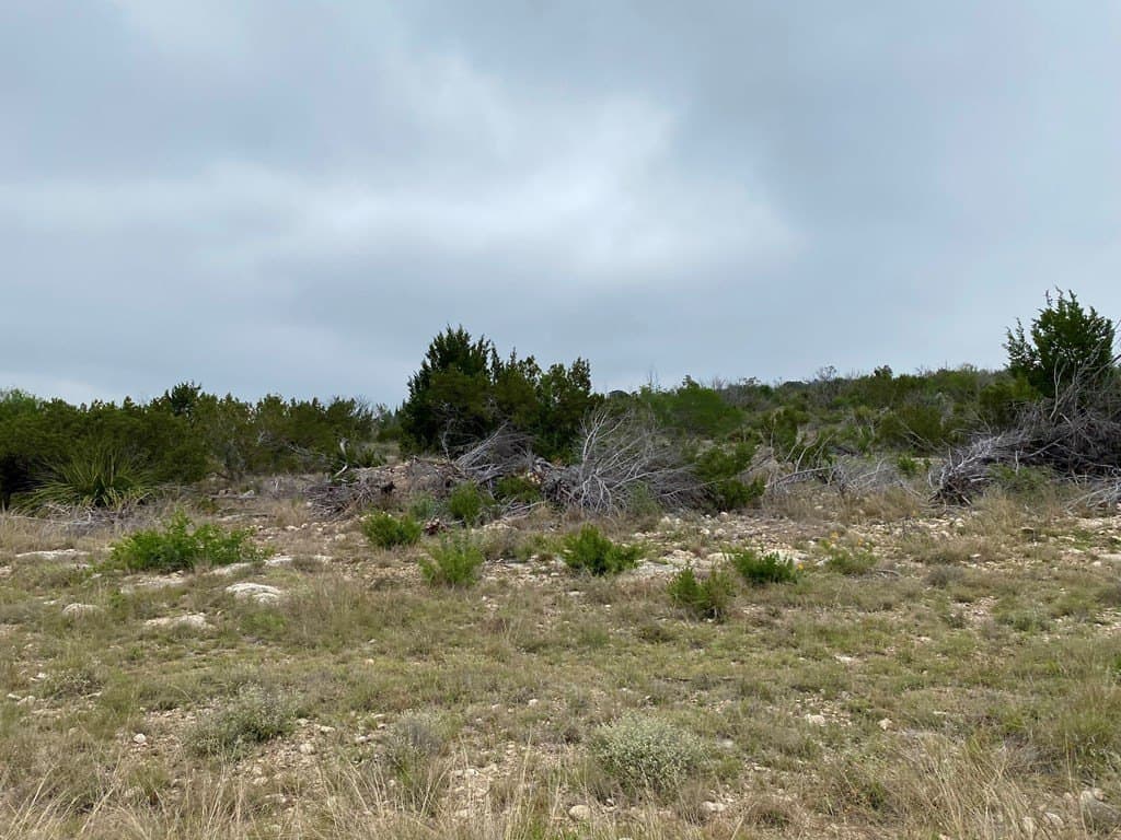 356.67 acres in Val Verde County - photo 15
