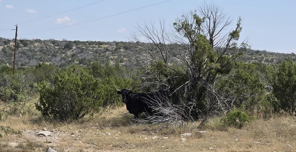 356.67 acres in Val Verde County - photo 42