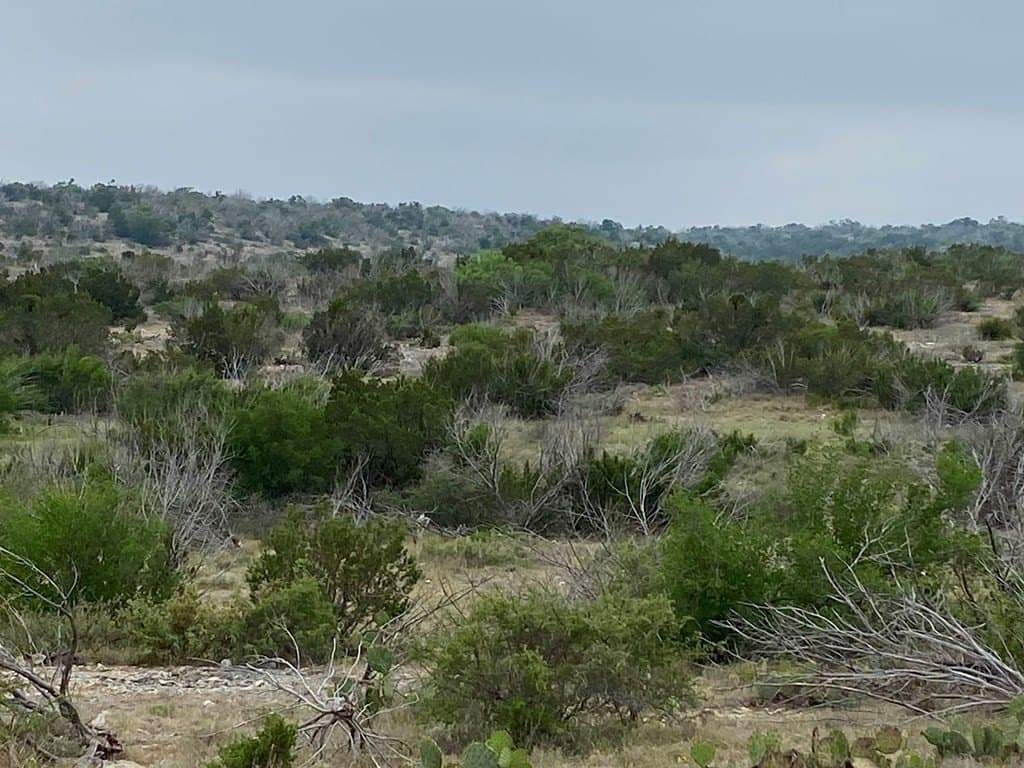 356.67 acres in Val Verde County - photo 11