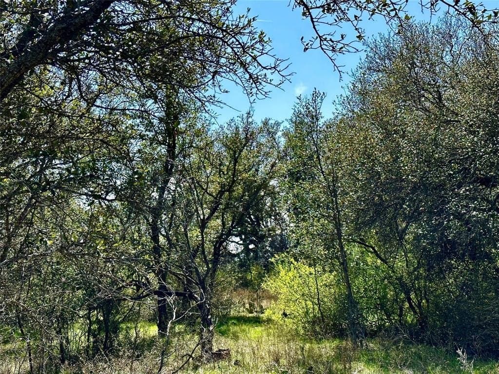 92.5 acres in Brown County - photo 3