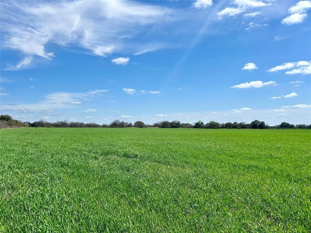 92.5 acres in Brown County - photo 7