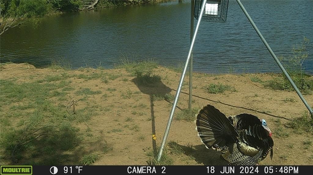 92.5 acres in Brown County - photo 5