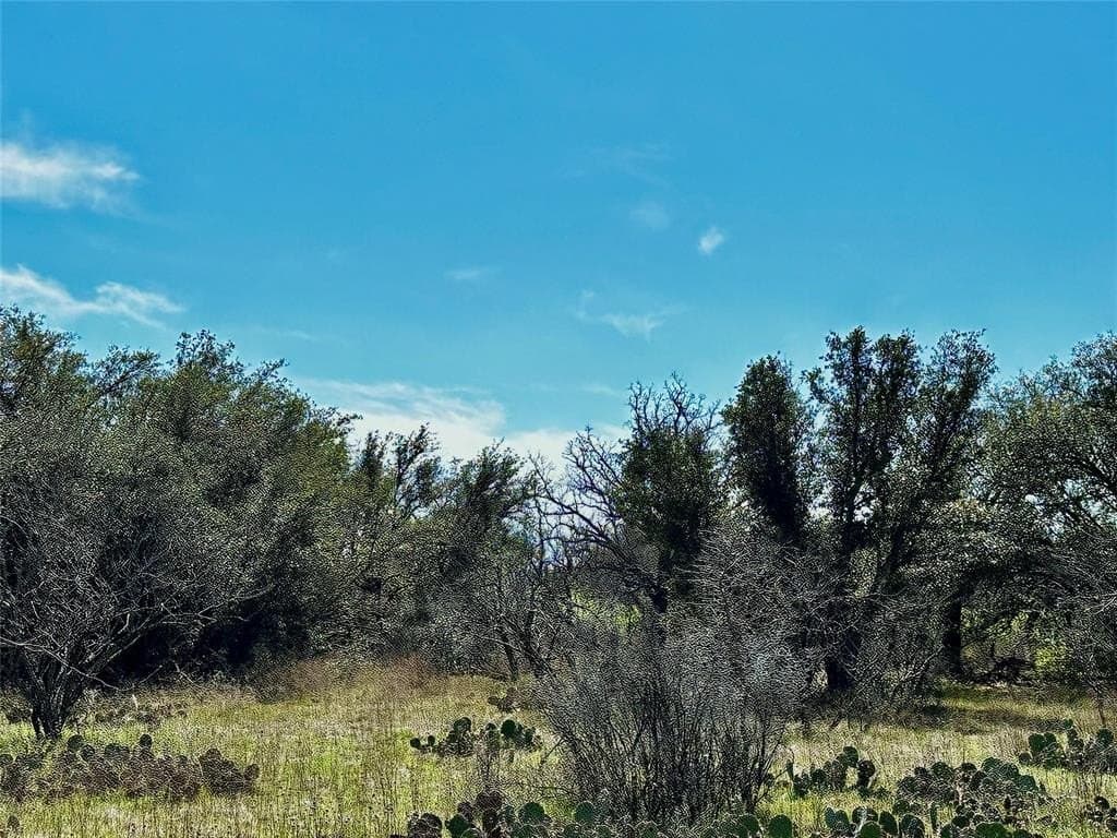 92.5 acres in Brown County - photo 10