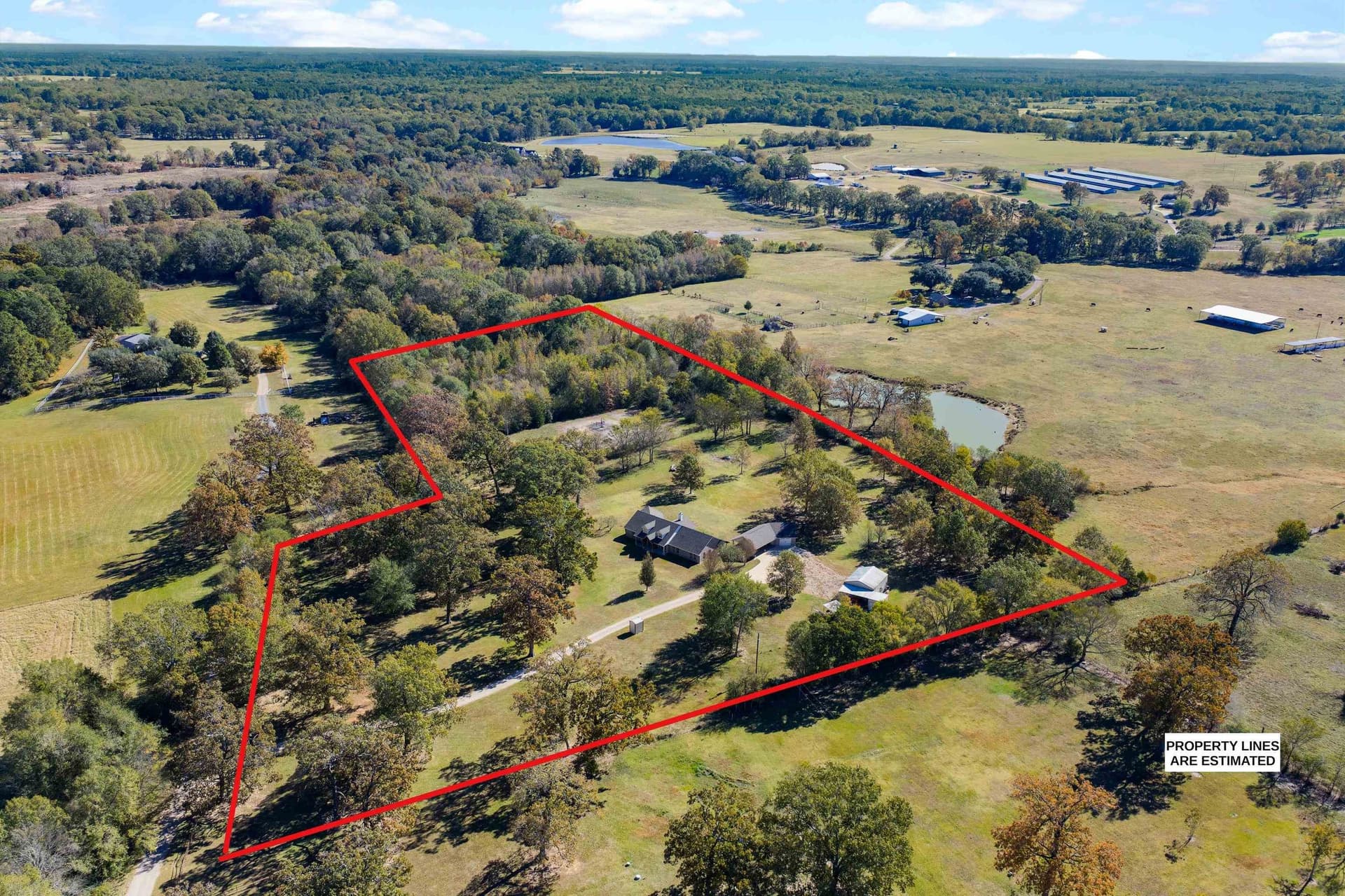 10.12 acres in Panola County - photo 5