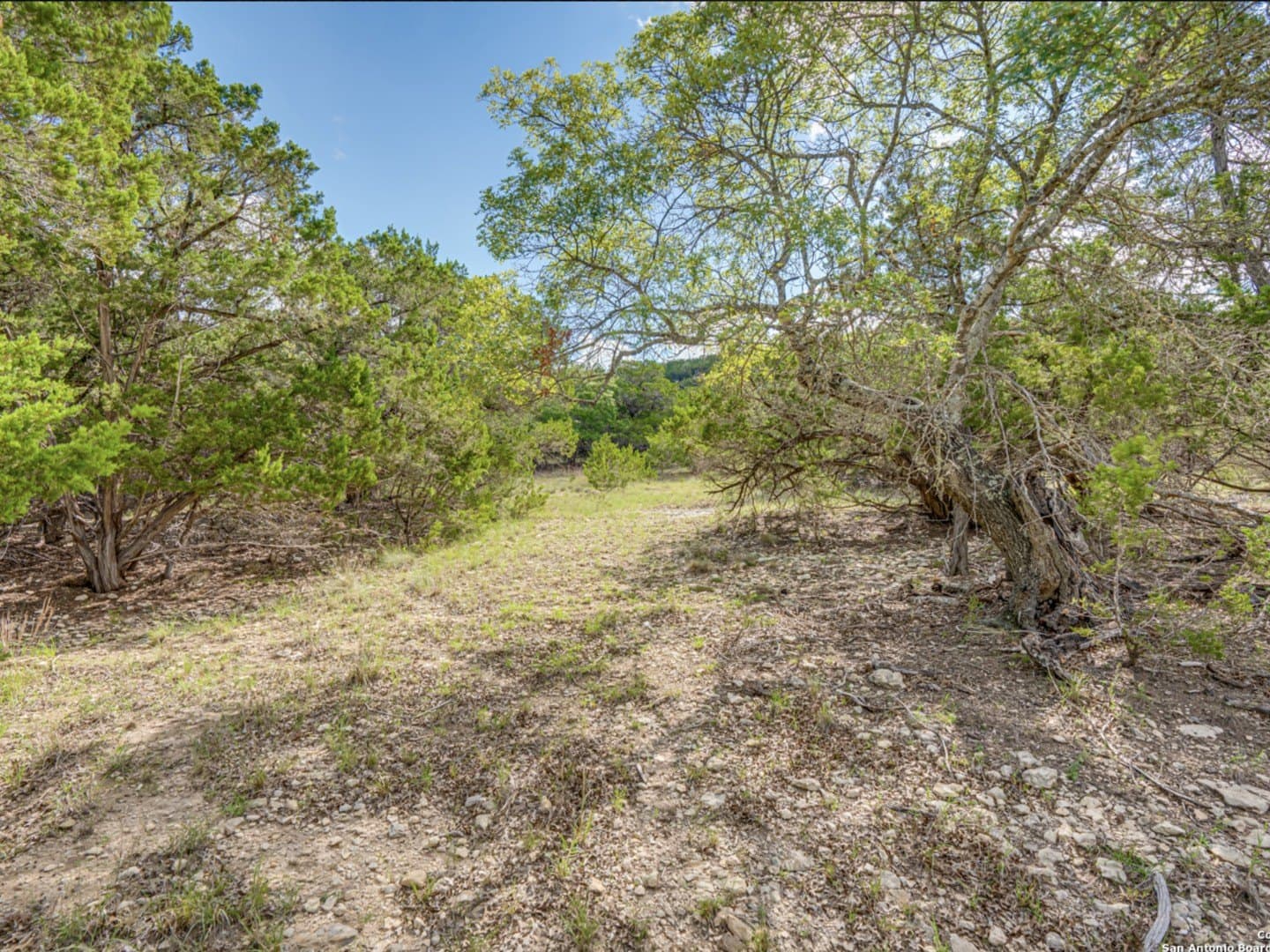 5 acres in Bandera County - photo 12