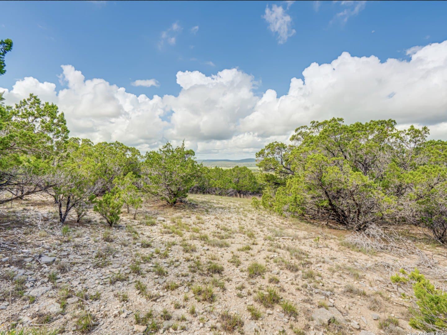 5 acres in Bandera County - photo 16