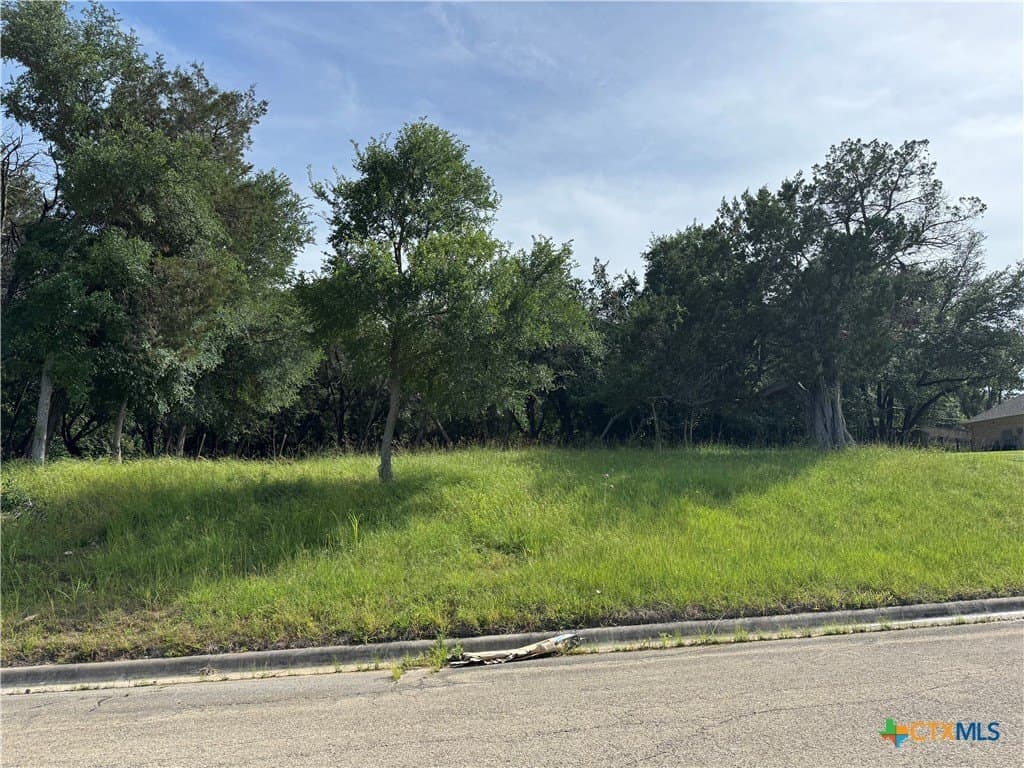 3619 White Oak Drive lot: 6
