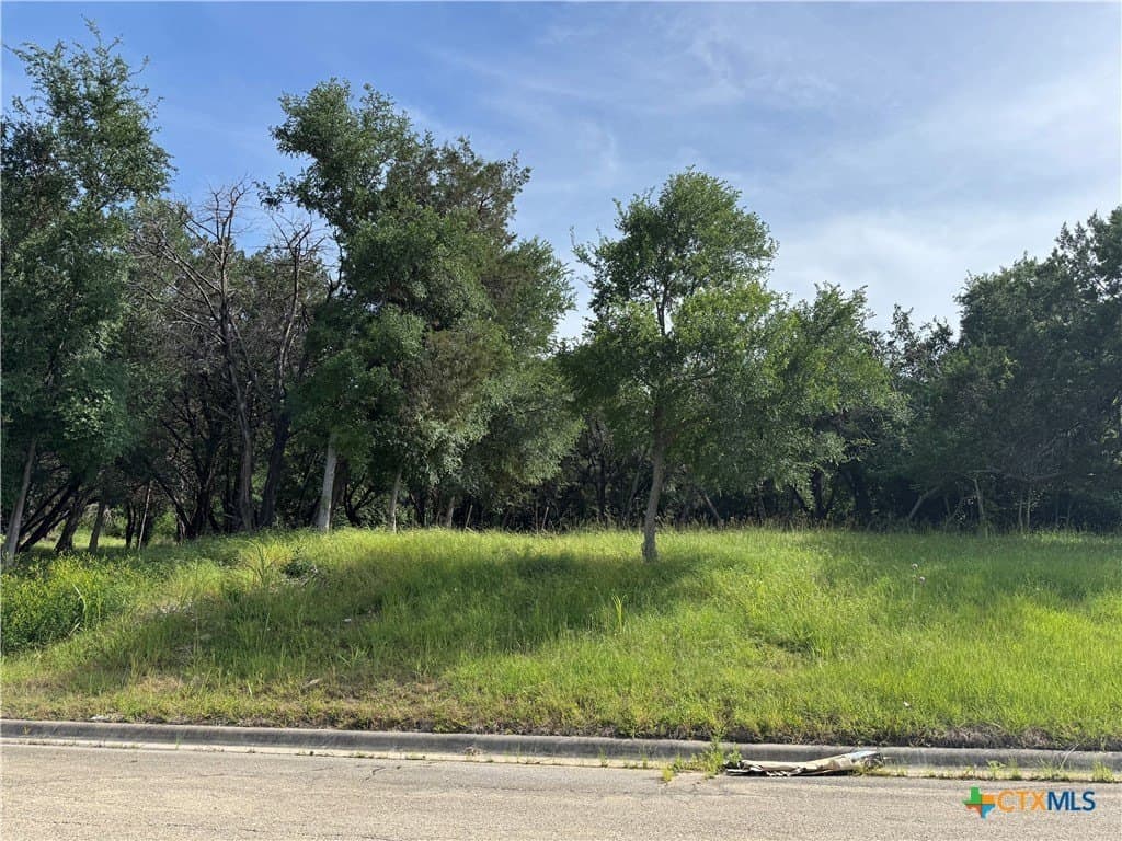 0.33 acres in Bell County - photo 2