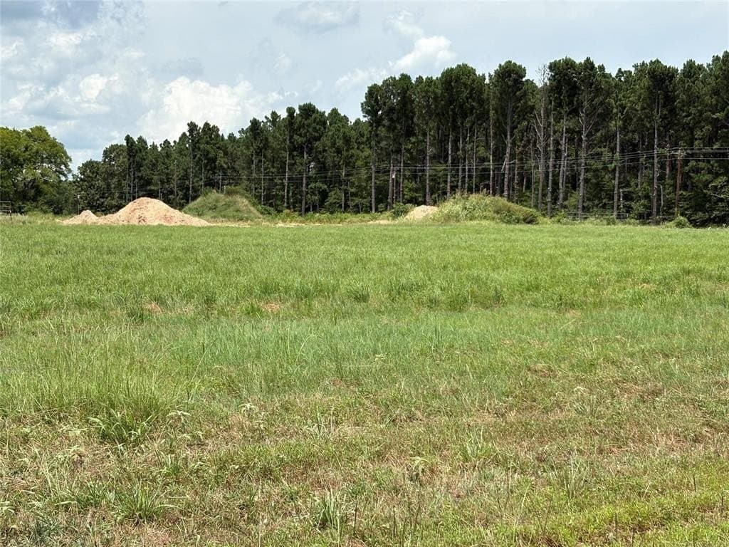 1.01 acres in Wood County - photo 6