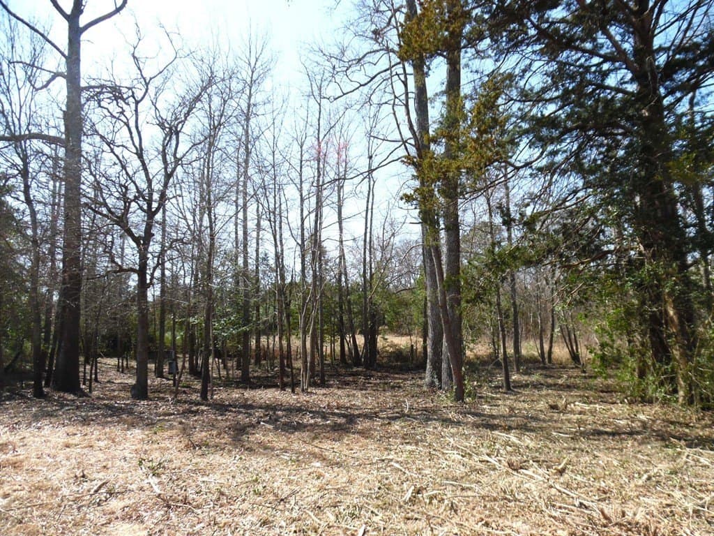 0.34 acres in Van Zandt County - photo 2