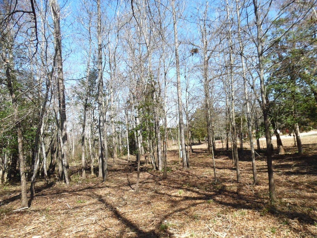 0.34 acres in Van Zandt County - photo 4