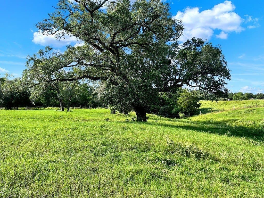 10.39 acres in Colorado County - photo 5