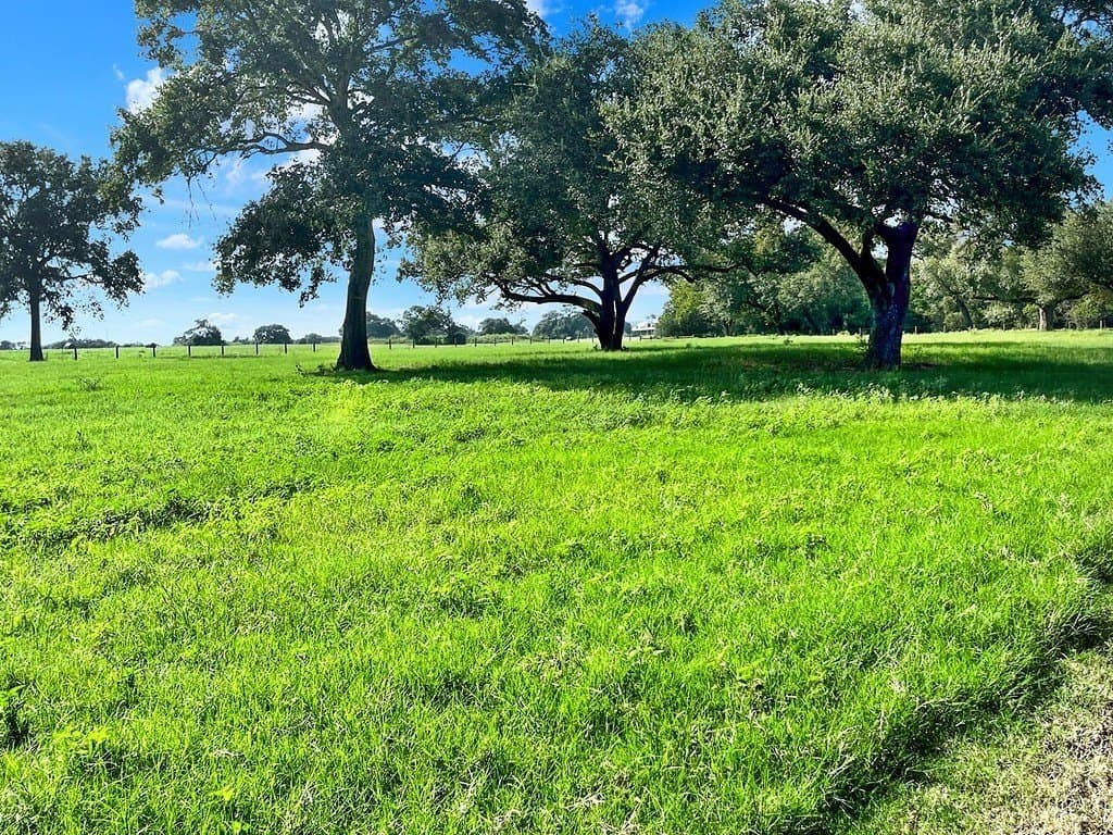 10.39 acres in Colorado County - photo 21