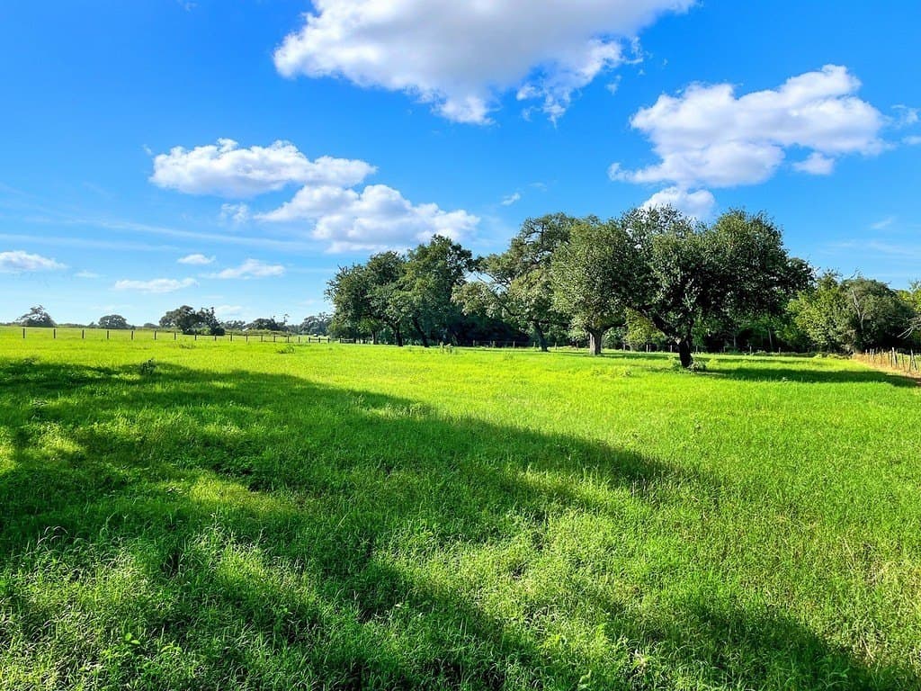 10.39 acres in Colorado County - photo 8