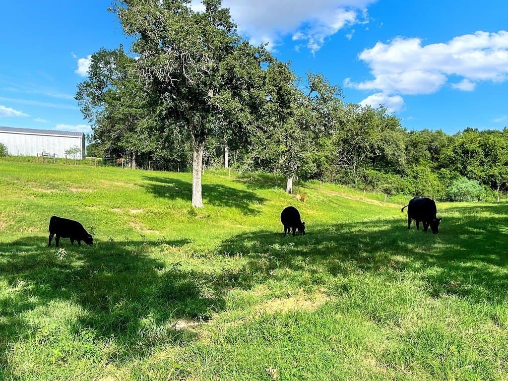 10.39 acres in Colorado County - photo 20