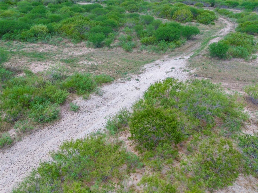19.2 acres in Jim Wells County - photo 6