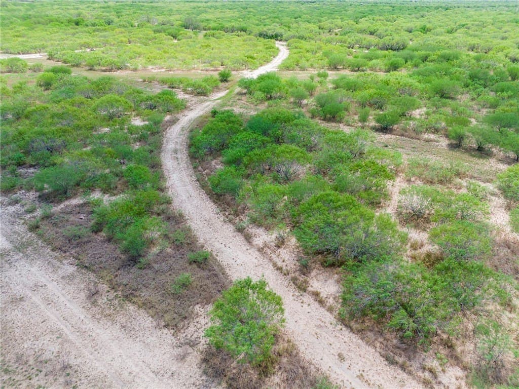 19.2 acres in Jim Wells County - photo 8