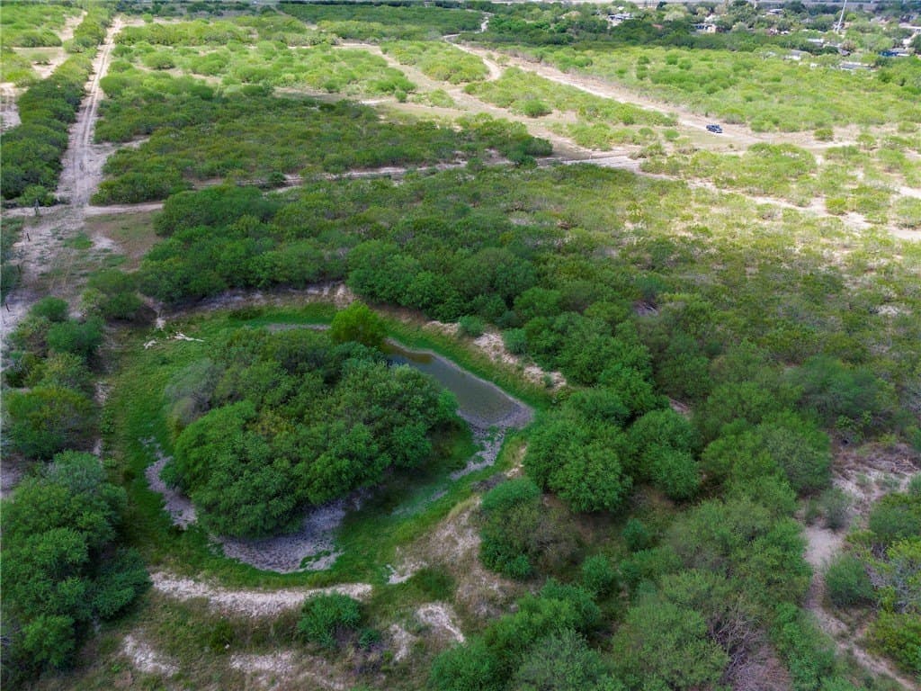 19.2 acres in Jim Wells County - photo 9