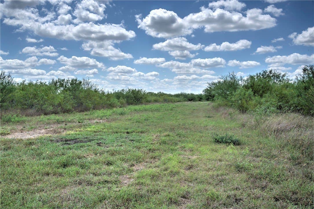 19.2 acres in Jim Wells County - photo 3