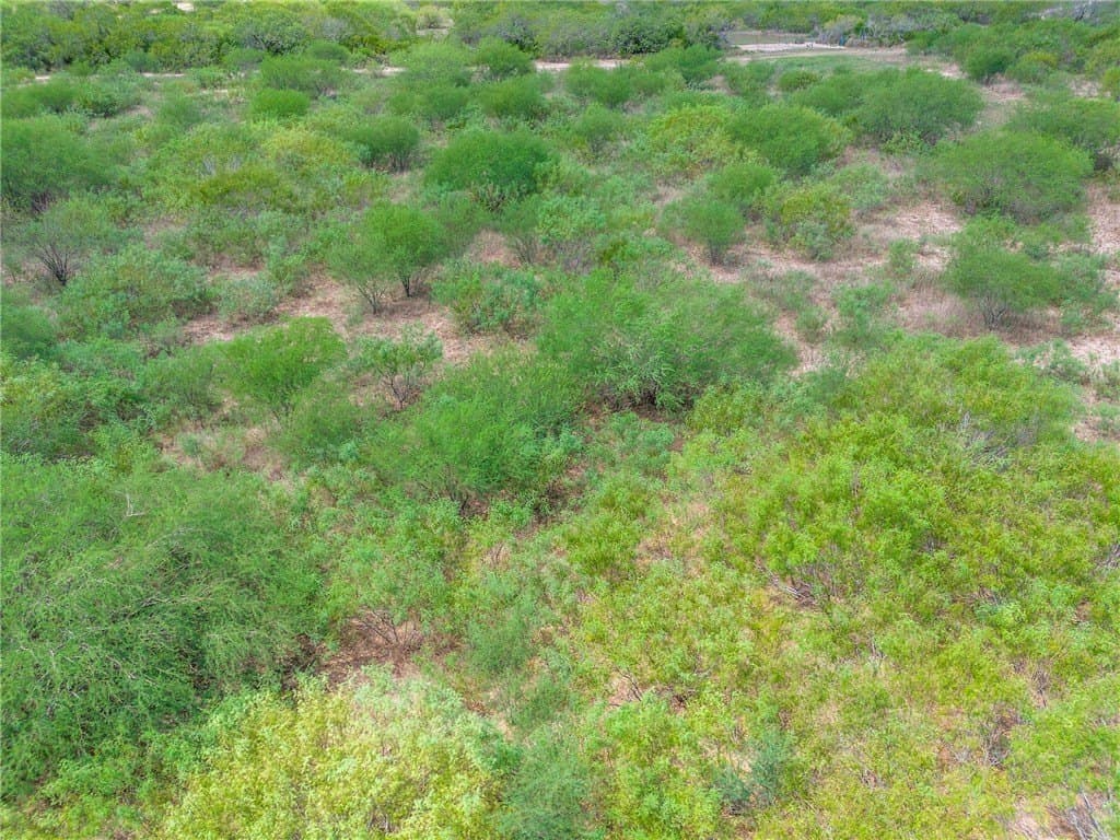 19.2 acres in Jim Wells County - photo 7