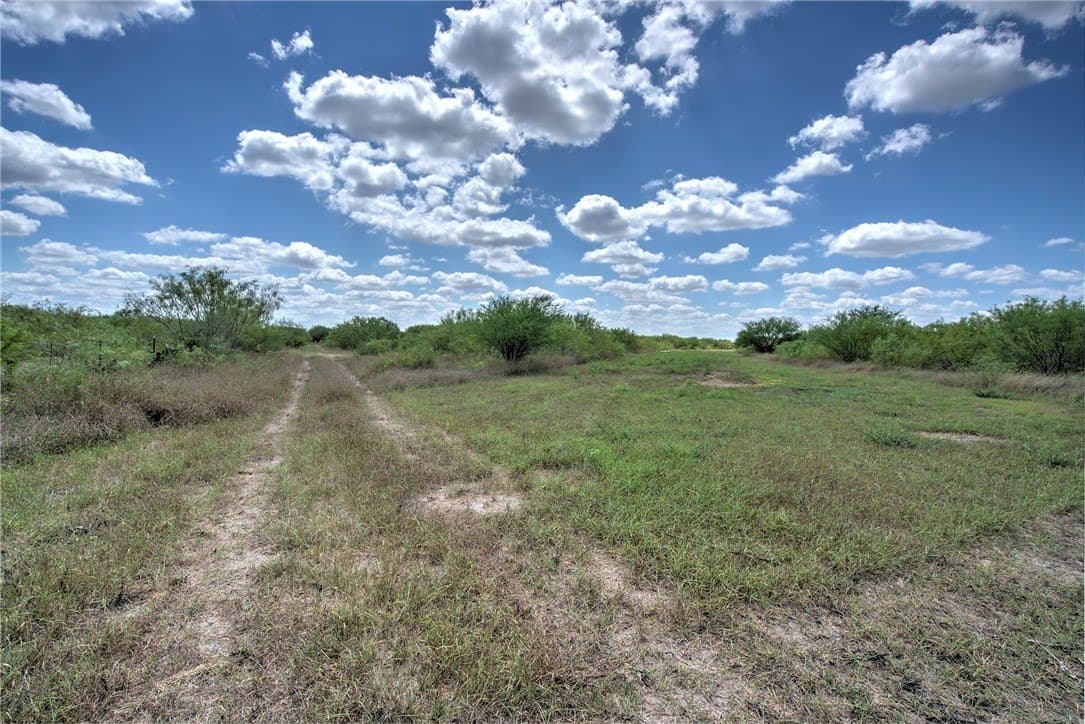 19.2 acres in Jim Wells County - photo 2