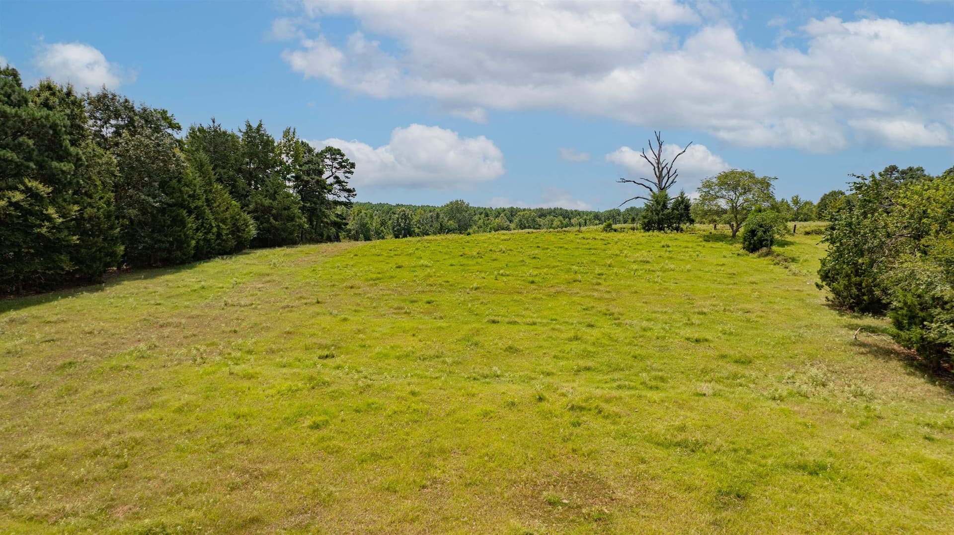 88.56 acres in Texas County - photo 9
