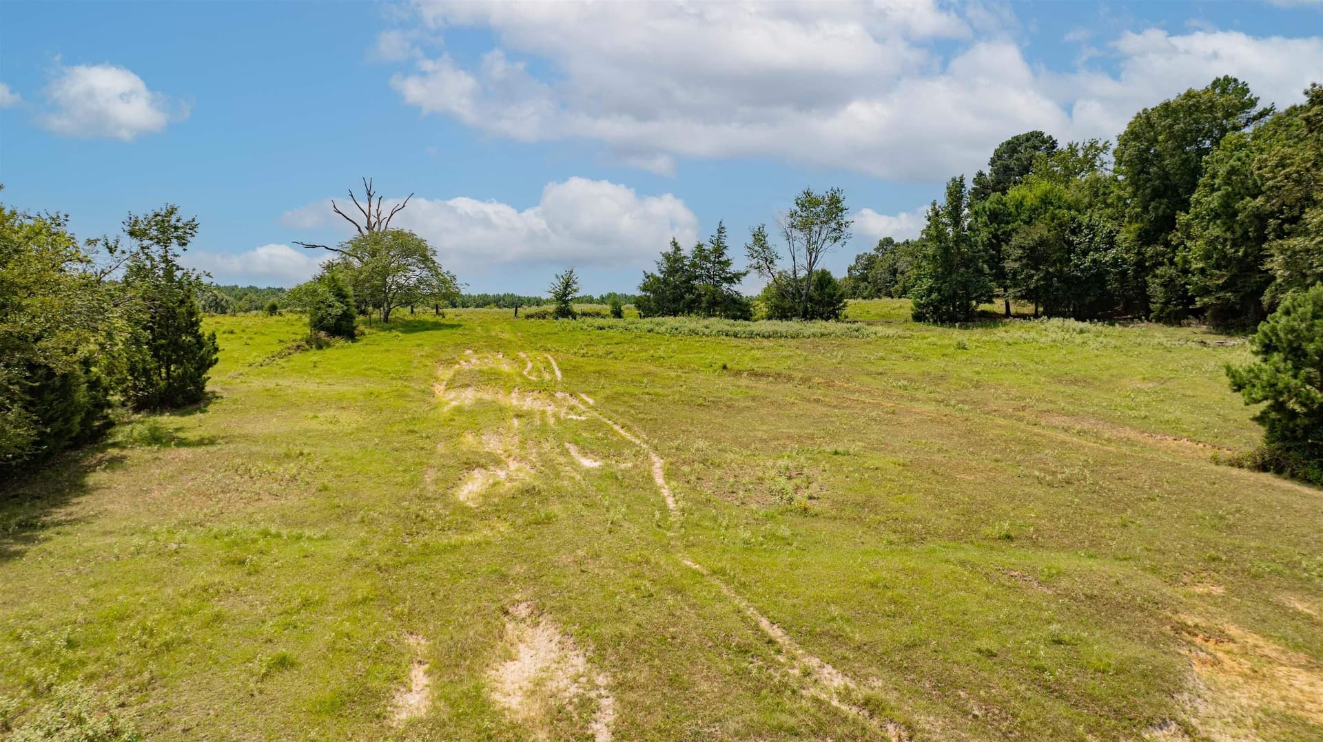 88.56 acres in Texas County - photo 8