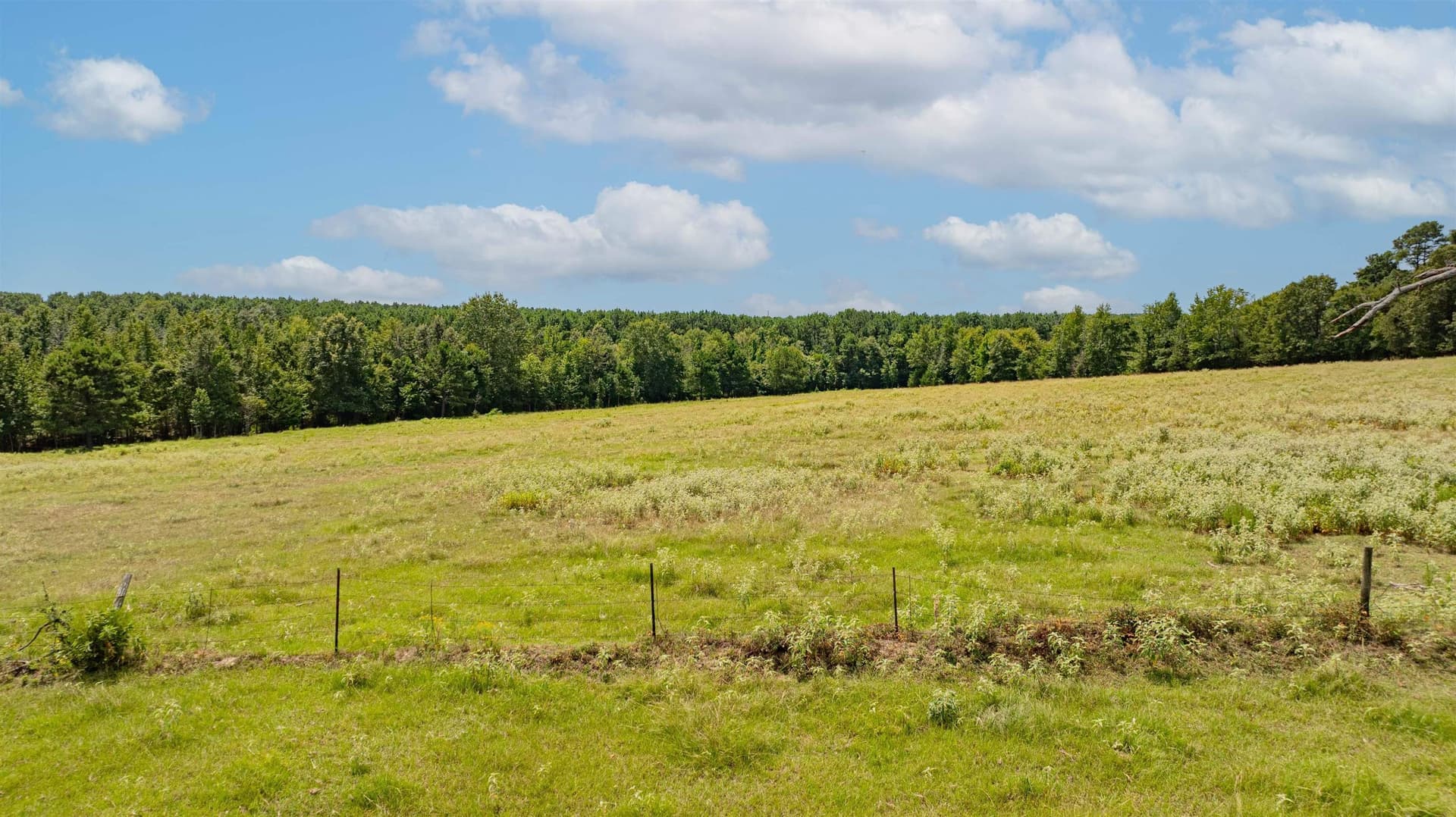 88.56 acres in Texas County - photo 10