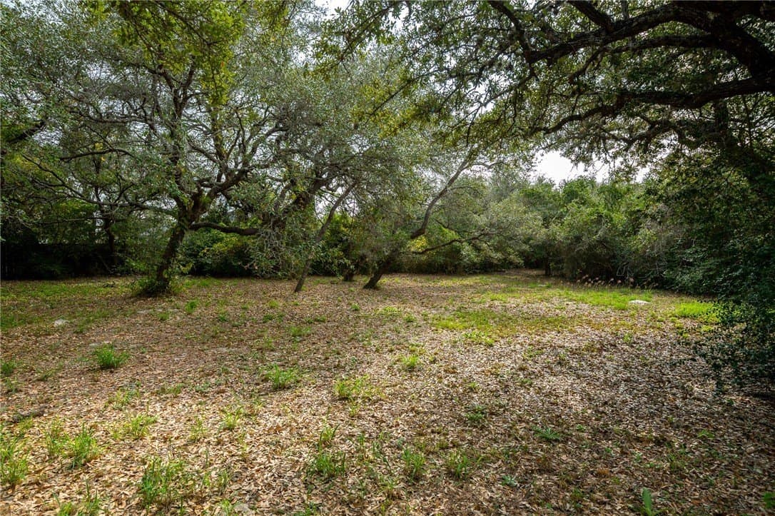 0.33 acres in San Patricio County - photo 3