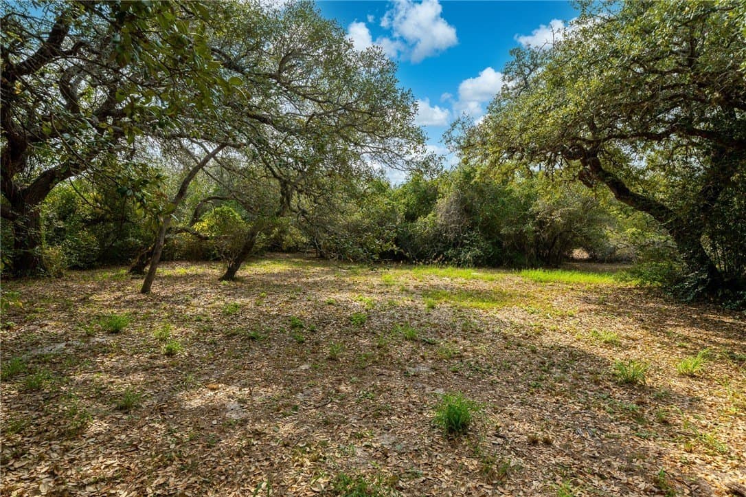0.33 acres in San Patricio County - photo 2