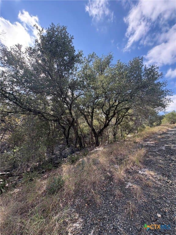 0.27 acres in Burnet County - photo 4
