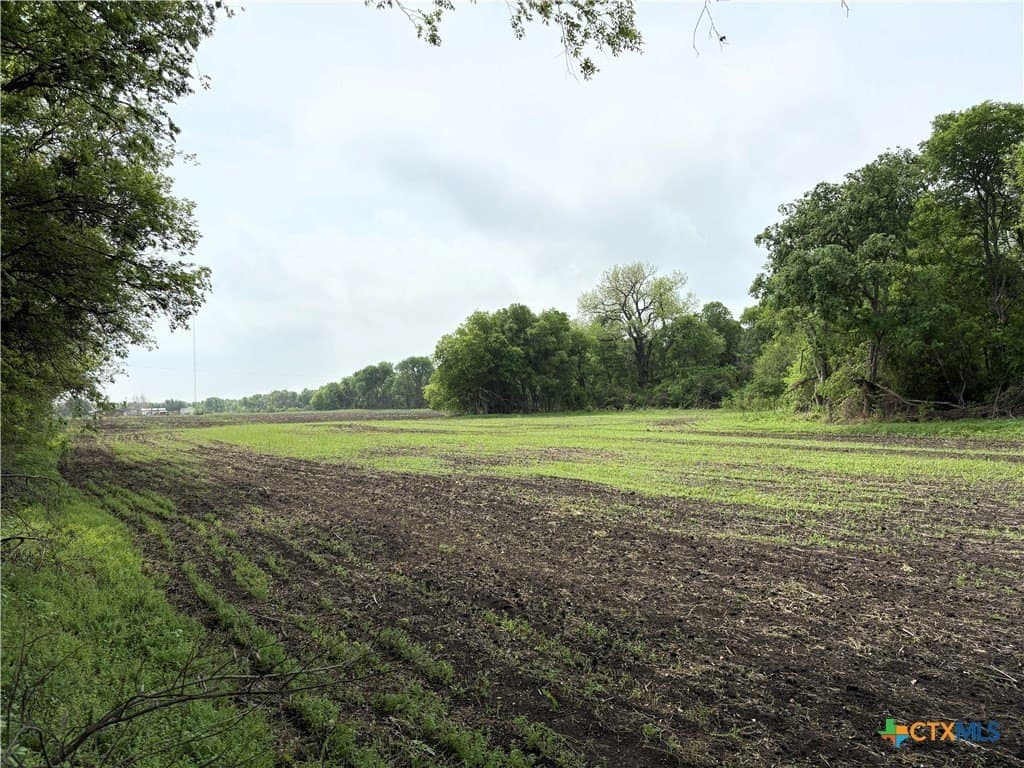 140 acres in Falls County - photo 9
